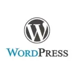 word press website development services